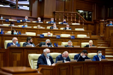 22.03.2021 Ședința plenară (51063203867)
