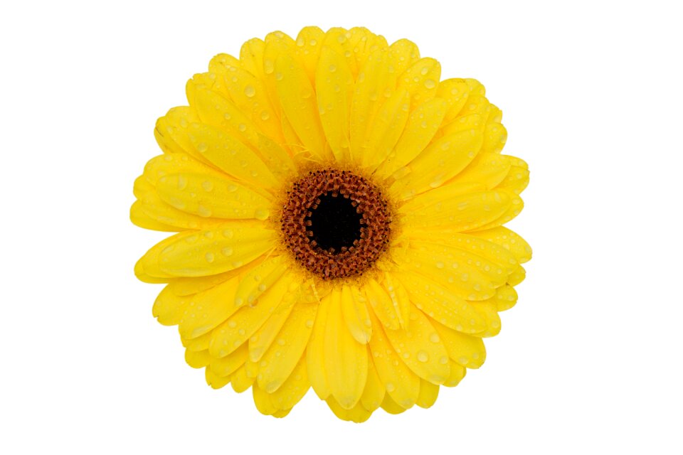 Summer desktop color