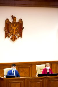 26.03.2021 Ședința plenară (51073152967)
