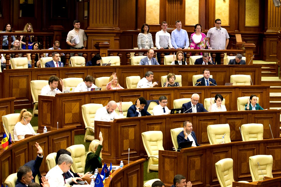 26.07.2019 Ședința plenară (48378613631)