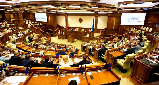 26.07.2019 Ședința plenară (48378753757)