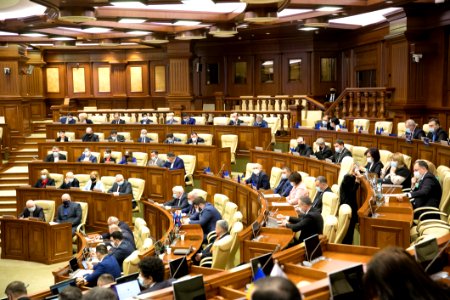 26.03.2021 Ședința plenară (51003870370)