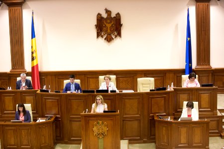 26.07.2019 Ședința plenară (48378756312)
