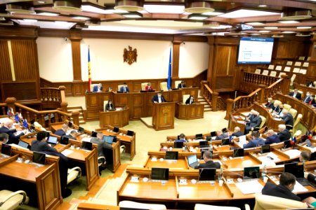 26.03.2021 Ședința plenară (51072358833)