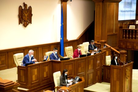 26.03.2021 Ședința plenară (51073153627)