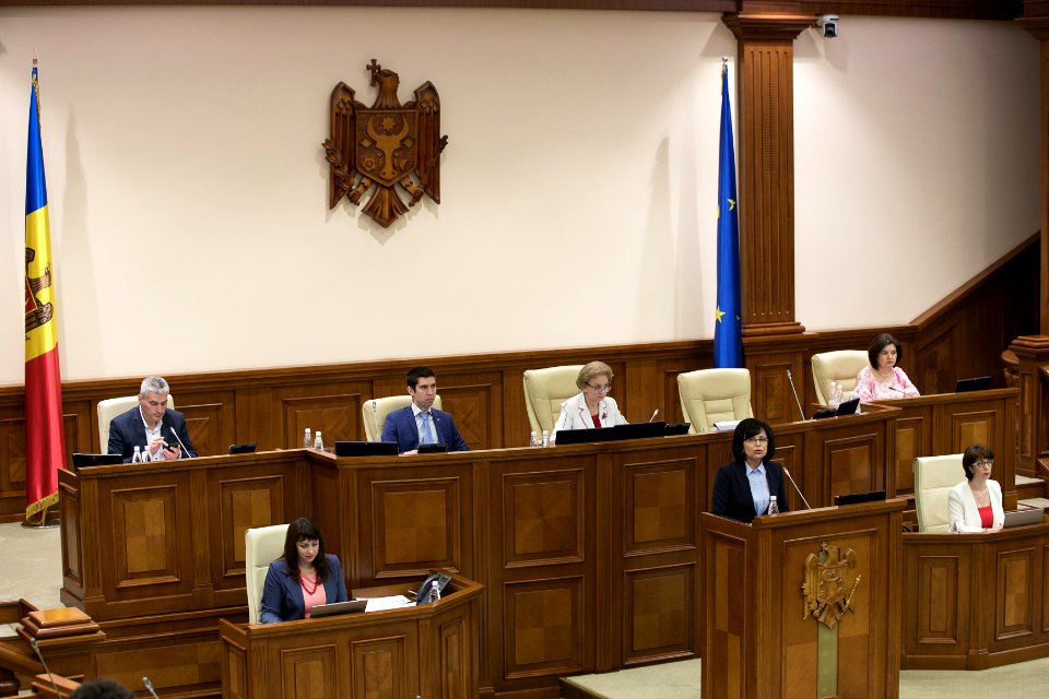 26.07.2019 Ședința plenară (48378613251)