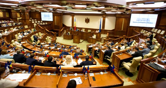 26.07.2019 Ședința plenară (48378608961)
