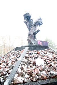 27.01.2021 Ziua internațională de comemorare a victimelor Holocaustului (50880106693)