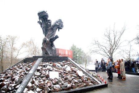 27.01.2021 Ziua internațională de comemorare a victimelor Holocaustului (50880108268)