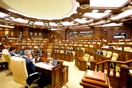 26.07.2019 Ședința plenară (48378754197)