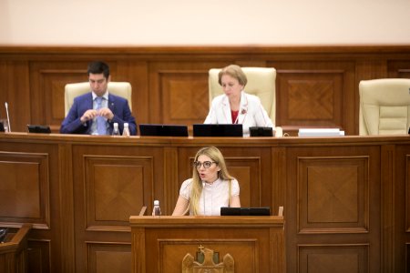 26.07.2019 Ședința plenară (48378756542)
