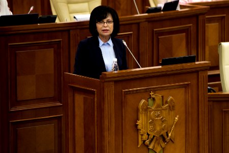 26.07.2019 Ședința plenară (48378757982)