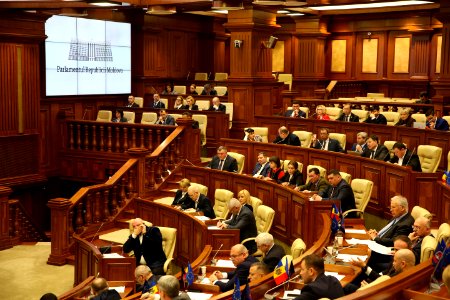 27.02.2020 Ședința plenară (49590683533)
