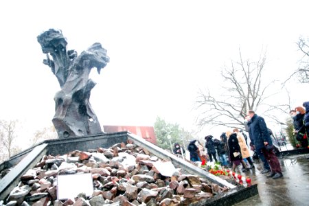 27.01.2021 Ziua internațională de comemorare a victimelor Holocaustului (50880820096)