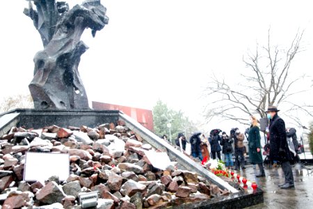 27.01.2021 Ziua internațională de comemorare a victimelor Holocaustului (50880924862)