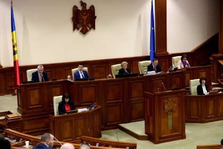 27.02.2020 Ședința plenară (49591178906)