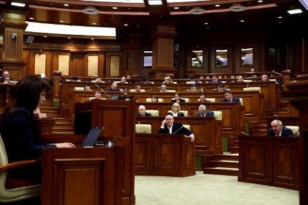27.02.2020 Ședința plenară (49591177416)