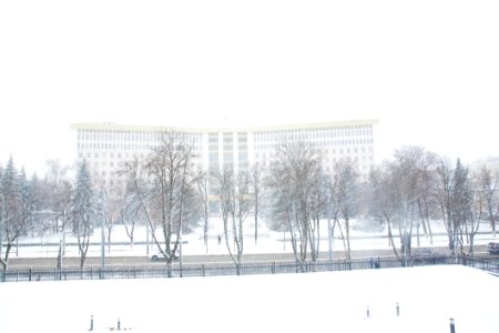 28.01.2021 Iarna în scuarul Parlamentului Republicii Moldova (50883341693)