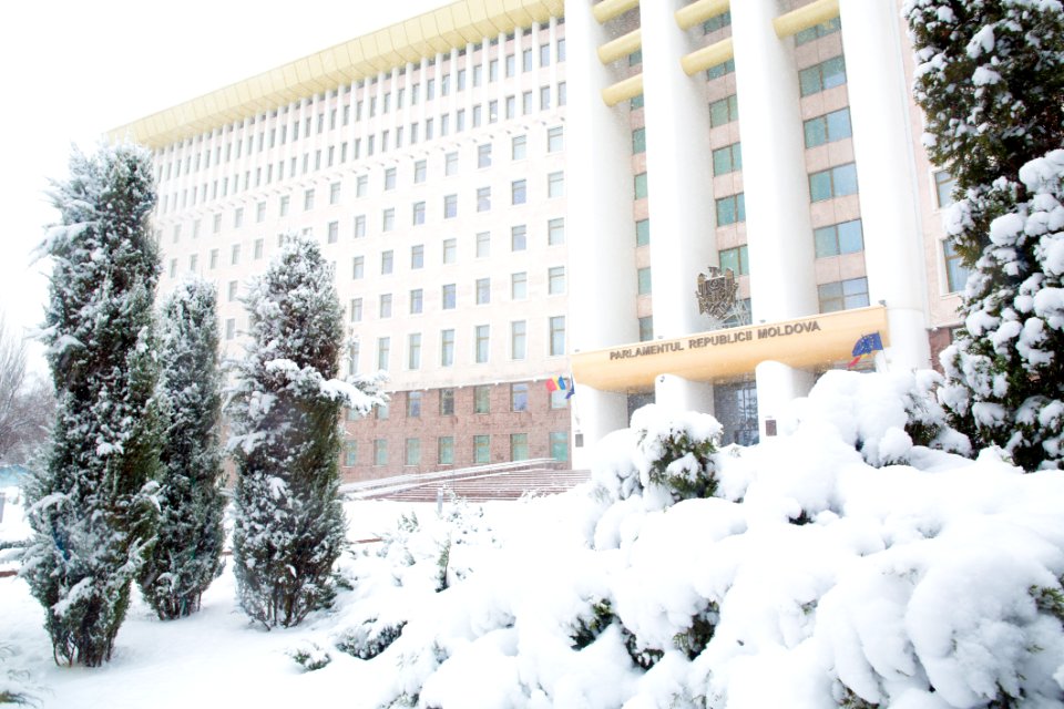 28.01.2021 Iarna în scuarul Parlamentului Republicii Moldova (50884060926)