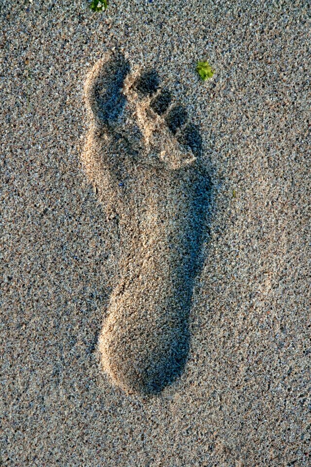 Sand reprint feet
