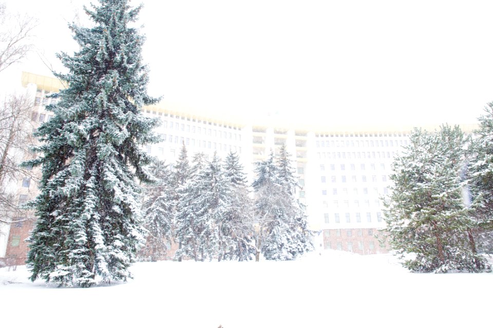 28.01.2021 Iarna în scuarul Parlamentului Republicii Moldova (50884062991)