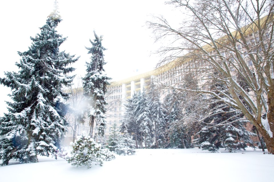 28.01.2021 Iarna în scuarul Parlamentului Republicii Moldova (50884165592)