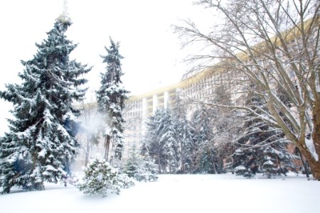 28.01.2021 Iarna în scuarul Parlamentului Republicii Moldova (50884165592)