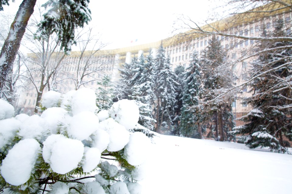 28.01.2021 Iarna în scuarul Parlamentului Republicii Moldova (50884166522)