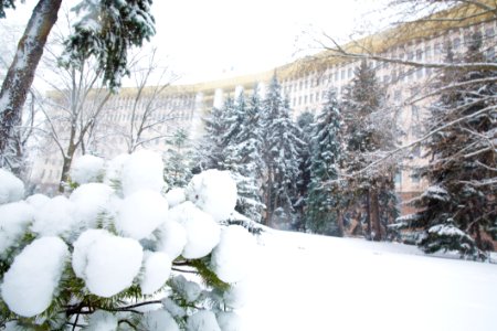 28.01.2021 Iarna în scuarul Parlamentului Republicii Moldova (50884166522)
