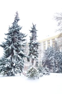 28.01.2021 Iarna în scuarul Parlamentului Republicii Moldova (50884166782)