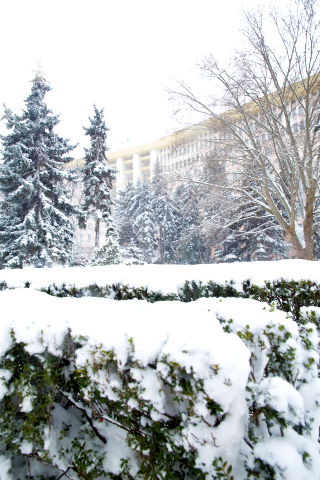 28.01.2021 Iarna în scuarul Parlamentului Republicii Moldova (50884167087)