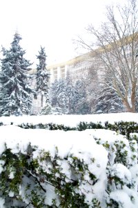 28.01.2021 Iarna în scuarul Parlamentului Republicii Moldova (50884167087)