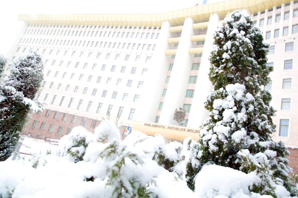 28.01.2021 Iarna în scuarul Parlamentului Republicii Moldova (50883339913)