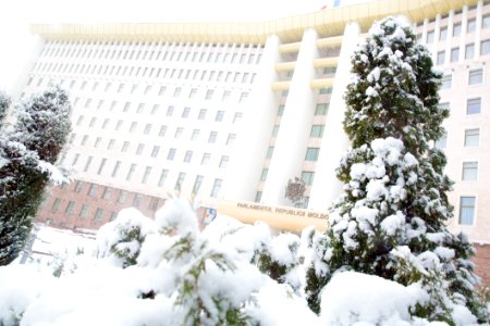 28.01.2021 Iarna în scuarul Parlamentului Republicii Moldova (50883339913)