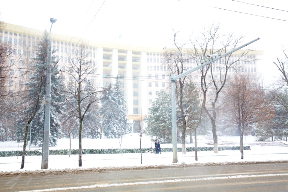 28.01.2021 Iarna în scuarul Parlamentului Republicii Moldova (50883341778)
