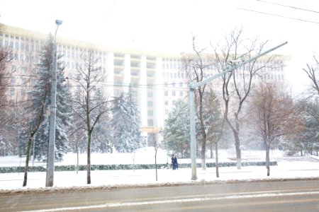 28.01.2021 Iarna în scuarul Parlamentului Republicii Moldova (50883341778)