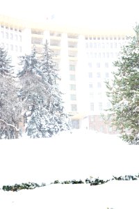 28.01.2021 Iarna în scuarul Parlamentului Republicii Moldova (50883342273)