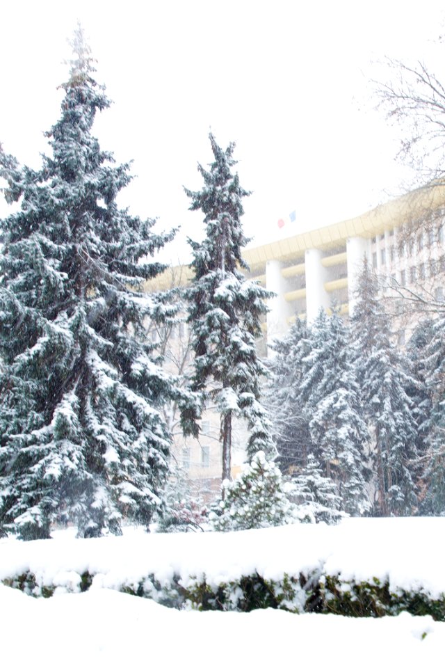 28.01.2021 Iarna în scuarul Parlamentului Republicii Moldova (50884061796)