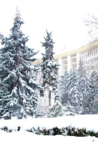 28.01.2021 Iarna în scuarul Parlamentului Republicii Moldova (50884061796)