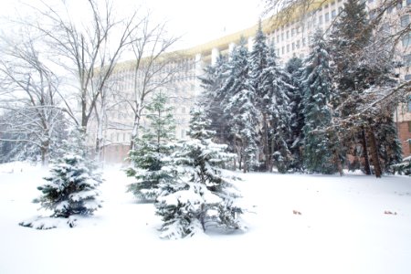 28.01.2021 Iarna în scuarul Parlamentului Republicii Moldova (50883340308)