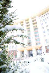 28.01.2021 Iarna în scuarul Parlamentului Republicii Moldova (50884166017)