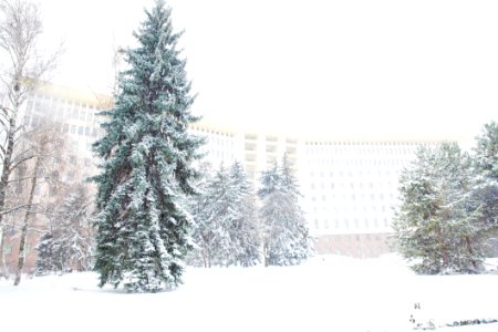 28.01.2021 Iarna în scuarul Parlamentului Republicii Moldova (50883342133)