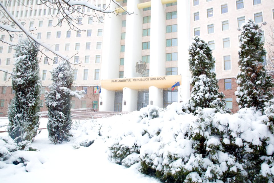 28.01.2021 Iarna în scuarul Parlamentului Republicii Moldova (50884166382)