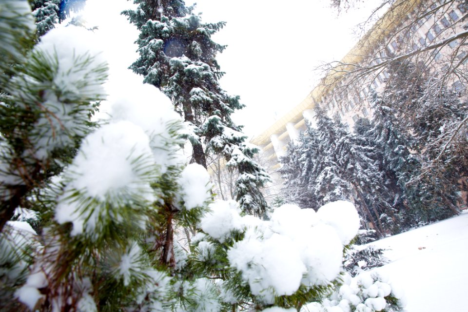 28.01.2021 Iarna în scuarul Parlamentului Republicii Moldova (50884061311)