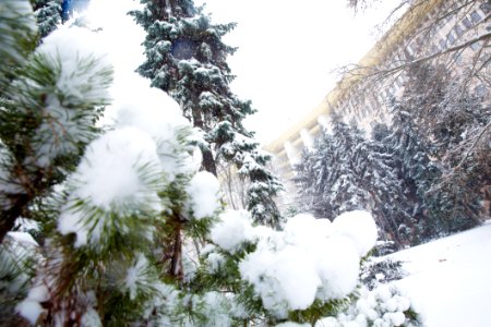 28.01.2021 Iarna în scuarul Parlamentului Republicii Moldova (50884061311)