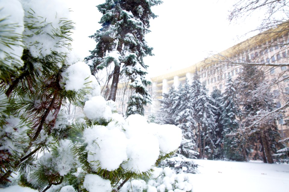 28.01.2021 Iarna în scuarul Parlamentului Republicii Moldova (50884166672)