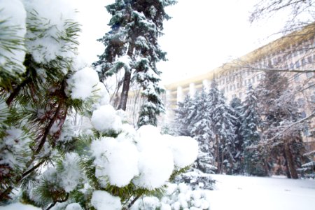 28.01.2021 Iarna în scuarul Parlamentului Republicii Moldova (50884166672)