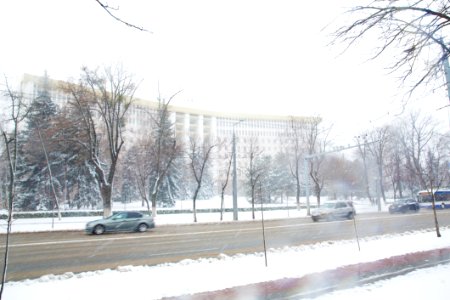 28.01.2021 Iarna în scuarul Parlamentului Republicii Moldova (50884062791)