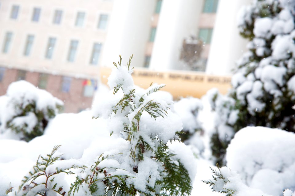 28.01.2021 Iarna în scuarul Parlamentului Republicii Moldova (50884165512)