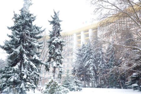 28.01.2021 Iarna în scuarul Parlamentului Republicii Moldova (50884166937)